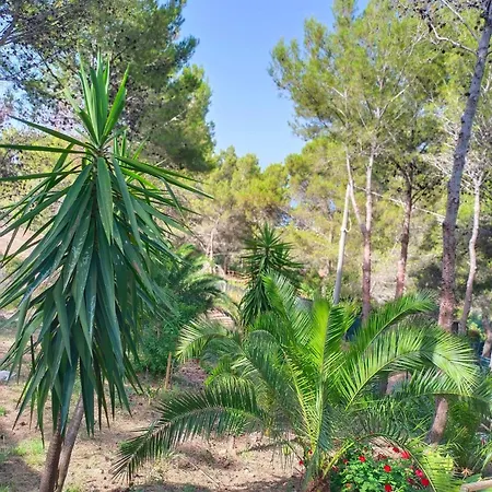 Wild Wild Nest Sperlongaresort *