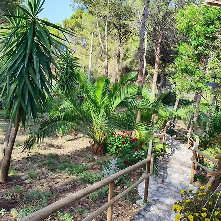 Wild Wild Nest Sperlongaresort Nyaraló